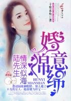 婚意绵绵,陆先生情深似海